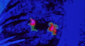 predator cinematography by donald mcalpine day establishing shot shot 013