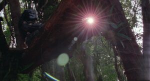 predator cinematography by donald mcalpine day establishing shot side lighting shot 048