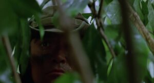 predator cinematography by donald mcalpine establishing shot artificial light shot 029