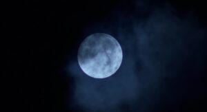 predator cinematography by donald mcalpine night establishing shot artificial light shot 010