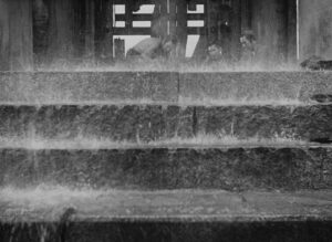 rashomon cinematography by kazuo miyagawa day establishing shot daylight shot 029