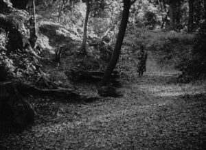 rashomon cinematography by kazuo miyagawa day establishing shot shot 062