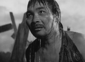 rashomon cinematography by kazuo miyagawa day extreme close up hard light daylight shot 045