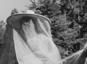 rashomon cinematography by kazuo miyagawa day extreme close up side lighting daylight shot 044