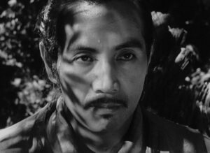 rashomon cinematography by kazuo miyagawa day extreme close up side lighting shot 047