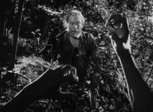 rashomon cinematography by kazuo miyagawa establishing shot hard light shot 016