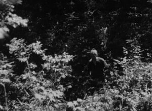 rashomon cinematography by kazuo miyagawa establishing shot hard light shot 067