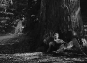 rashomon cinematography by kazuo miyagawa medium wide shot over the shoulder moonlight shot 043