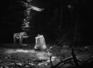 rashomon cinematography by kazuo miyagawa night establishing shot silhouette artificial light shot 019