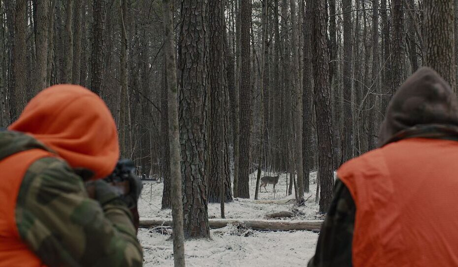 Prisoners (2013) - Cinematography Analysis