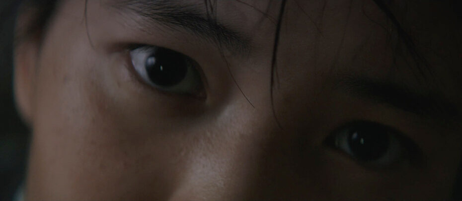 The Handmaiden (2016) - Cinematography Analysis