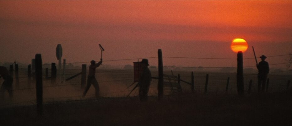 Cool Hand Luke (1967) - Cinematography Analysis