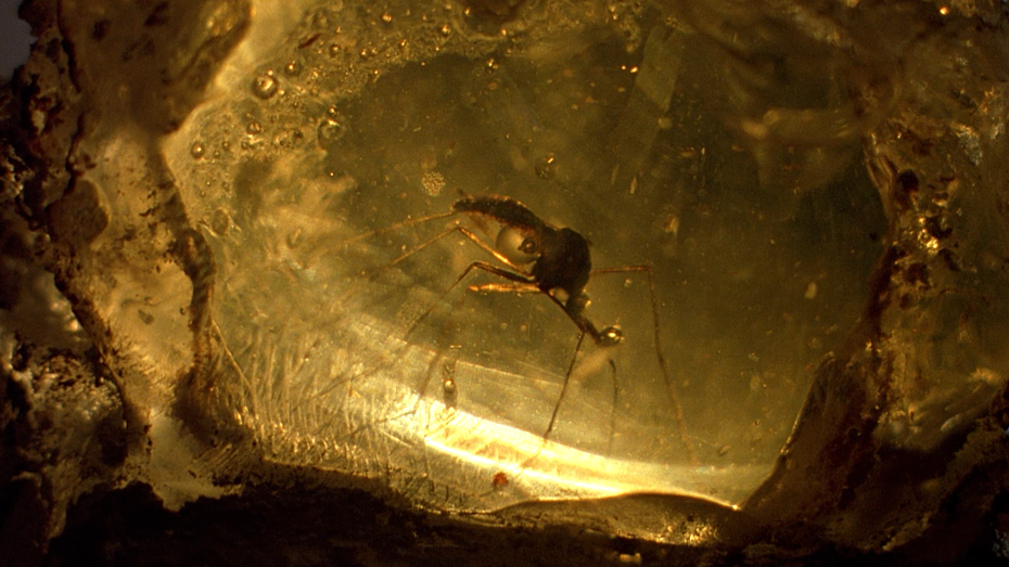 Jurassic Park (1993) - Cinematography Analysis