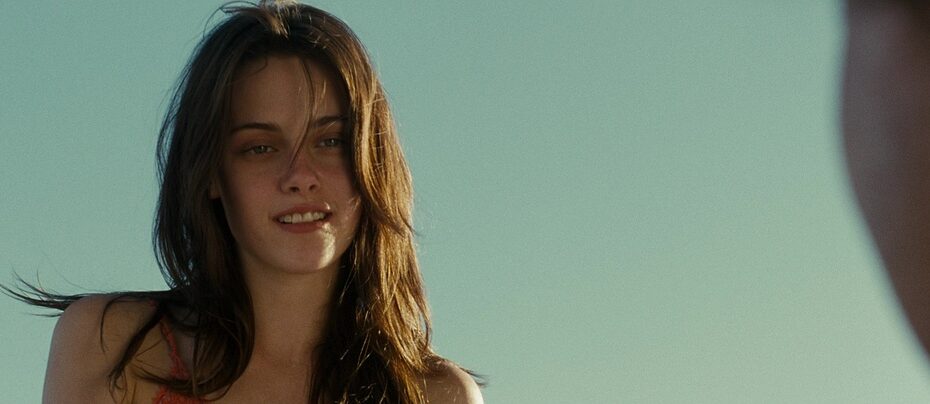 Into the Wild (2007) - Cinematography Analysis