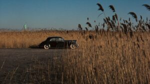 the godfather cinematography by gordon willis exterior day establishing shot shot 006