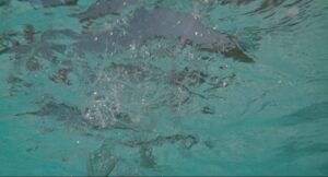 being john malkovich cinematography by lance acord day establishing shot overcast shot 023