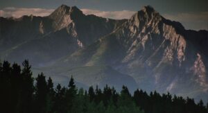 brokeback mountain cinematography by rodrigo prieto day establishing shot shot 006