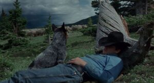 brokeback mountain cinematography by rodrigo prieto day establishing shot shot 041
