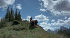 brokeback mountain cinematography by rodrigo prieto day establishing shot side lighting daylight shot 071