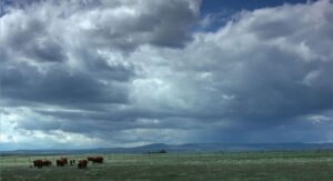 brokeback mountain cinematography by rodrigo prieto exterior day establishing shot daylight shot 043