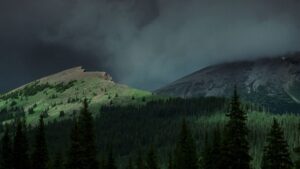 brokeback mountain cinematography by rodrigo prieto exterior establishing shot shot 009