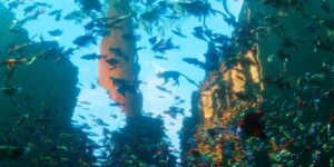 flow cinematography by gints zilbalodis day establishing shot daylight shot 008