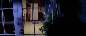 halloween cinematography by dean cundey interior wide shot establishing shot silhouette fluorescent shot 057