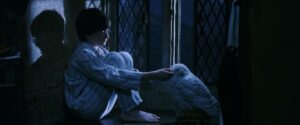 harry potter and the sorcerers stone cinematography by john seale night close up artificial light shot 060