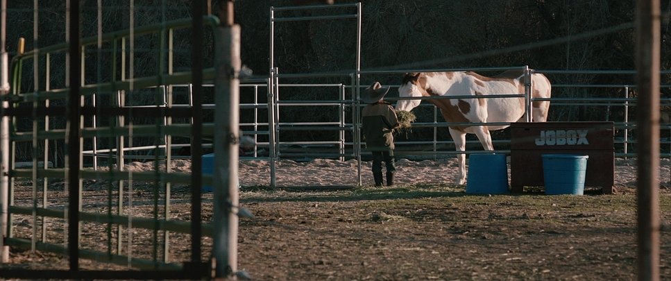 Wind River (2017) - Cinematography Analysis