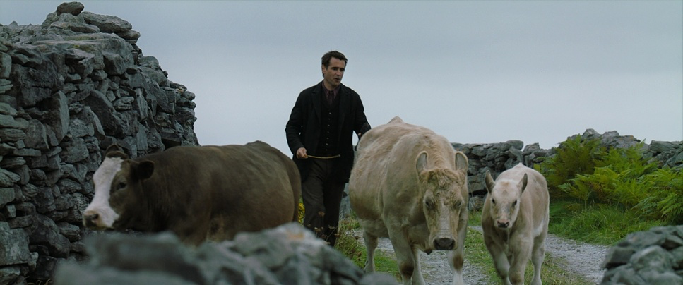 The Banshees of Inisherin (2022) - Cinematography Analysis