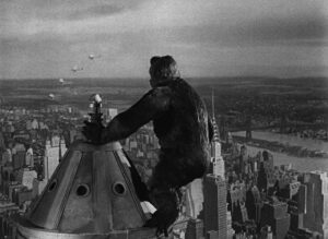king kong cinematography by vernon l walker day close up backlight daylight shot 036