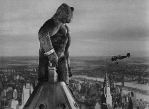 king kong cinematography by vernon l walker day establishing shot hard light daylight shot 045