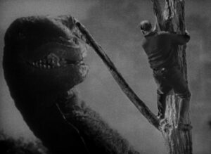 king kong cinematography by vernon l walker day medium close up shot 053