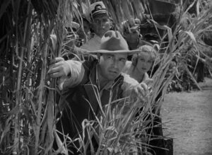 king kong cinematography by vernon l walker exterior day establishing shot shot 043