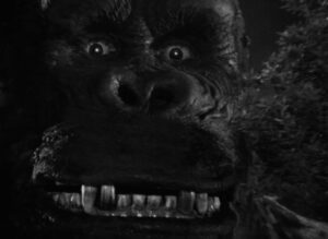 king kong cinematography by vernon l walker night establishing shot moonlight shot 019