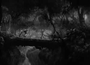 king kong cinematography by vernon l walker night establishing shot moonlight shot 027