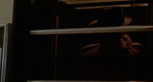 le samoura cinematography by henri deca night establishing shot artificial light shot 068