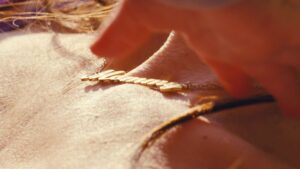 mommy cinematography by andr turpin day establishing shot side lighting sunny shot 022