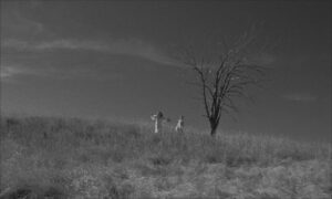 paper moon cinematography by l szl kov cs exterior day establishing shot overcast shot 016