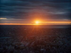 perfect days cinematography by franz lustig day establishing shot shot 025