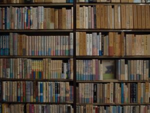 perfect days cinematography by franz lustig day establishing shot shot 059