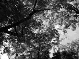 perfect days cinematography by franz lustig day establishing shot side lighting daylight shot 054