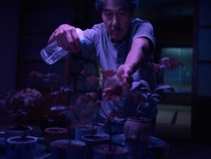 perfect days cinematography by franz lustig night establishing shot artificial light shot 031