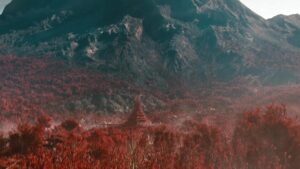 star trek into darkness cinematography by dan mindel day establishing shot shot 053