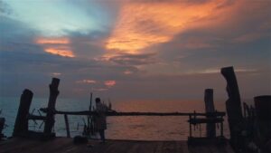 the act of killing cinematography by lars skree day wide shot establishing shot backlight daylight shot 015