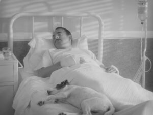 the artist cinematography by guillaume schiffman day establishing shot fluorescent shot 042