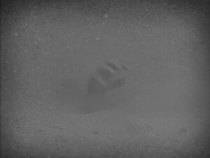 the artist cinematography by guillaume schiffman day establishing shot overcast shot 058