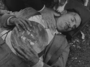 the artist cinematography by guillaume schiffman day extreme close up shot 056