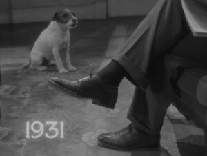 the artist cinematography by guillaume schiffman day extreme close up side lighting shot 015