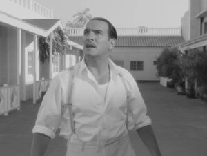 the artist cinematography by guillaume schiffman day extreme close up sunny shot 026